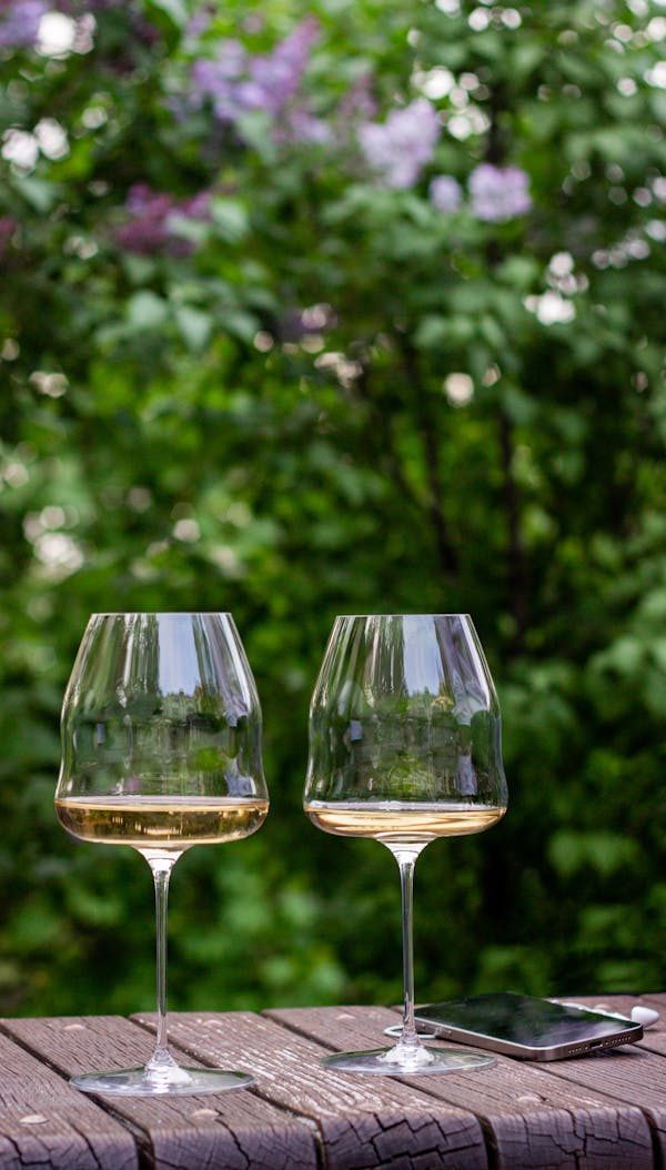 Vignerons à Châteauneuf du Pape : Tradition et engagement biologique